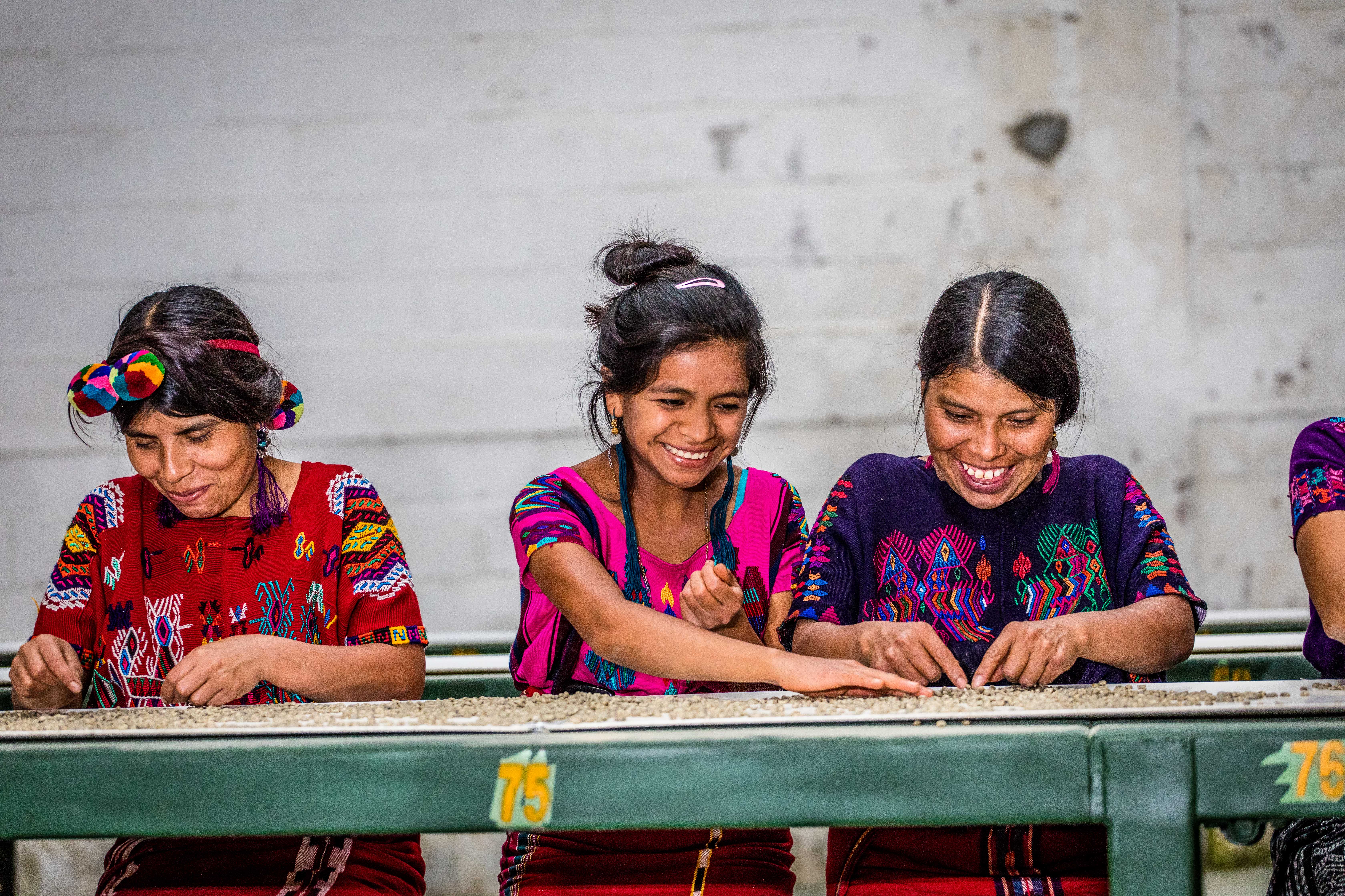 Clients of Oikocredit agriculture partner CHAJUL