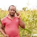 farmerline photo.jpg