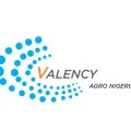 Logo Valency.jpg