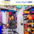 IR2022 eng cover.jpg