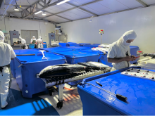 Employees of Coastal Catch's (Tunart)